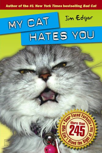 My Cat Hates You - Click to Buy
