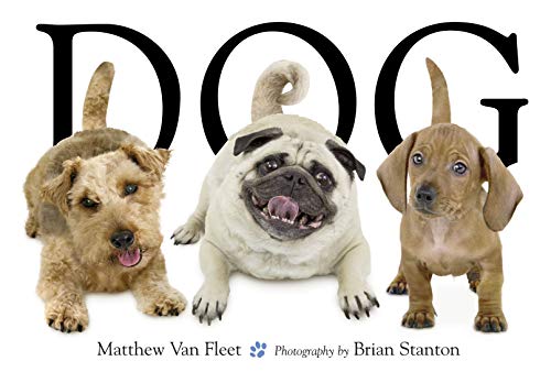 Dog - Click to Buy