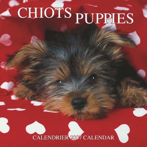 Chiots/puppies 2007 Calendar - Click to Buy