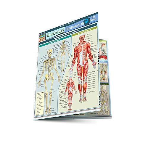 Anatomy Fundamentals: Life Science - Click to Buy