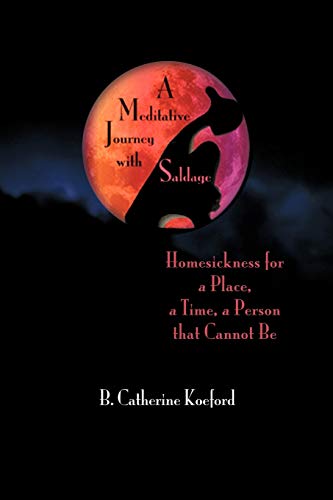 A Meditative Journey with Saldage: Homesickness for a Place, a Time, a Person that Cannot Be - Click to Buy