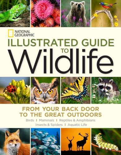 National Geographic Illustrated Guide to Wildlife: From Your Back Door to the Great Outdoors - Click to Buy