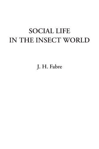 Social Life in the Insect World - Click to Buy