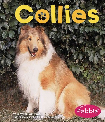 Collies (Pebble Books) - Click to Buy