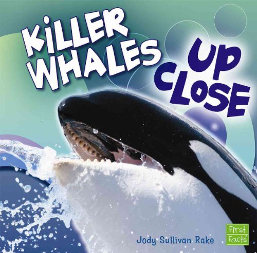 Killer Whales Up Close (First Facts Whales and Dolphins Up Close) - Click to Buy