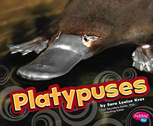 Platypuses (Pebble Plus: Australian Animals) - Click to Buy