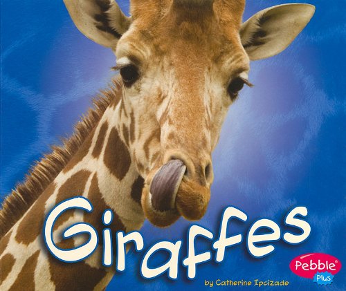 African Animals: Giraffes - Click to Buy