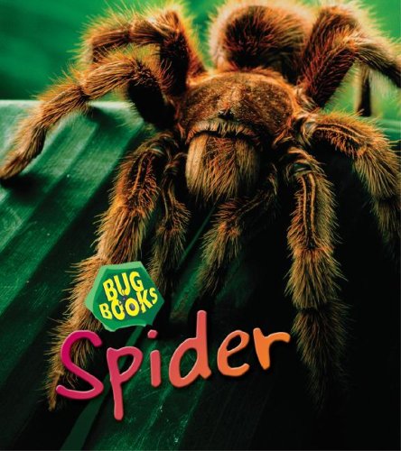 Spider (Bug Books) - Click to Buy