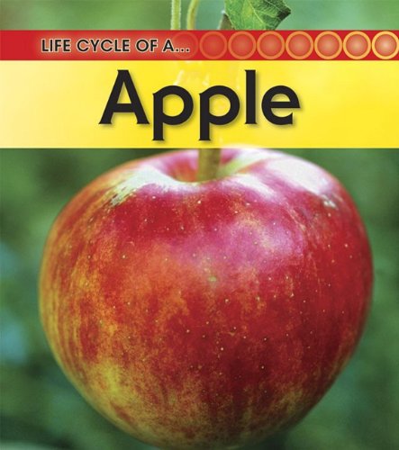 Life Cycle of an... Apple - Click to Buy