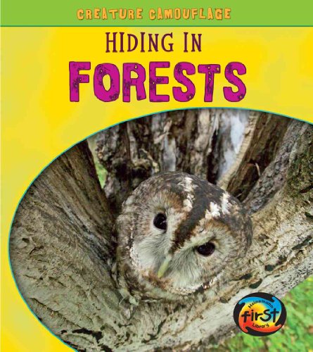 Hiding in Forests - Click to Buy