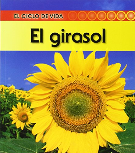 El girasol / Life Cycle of a Sunflower (El ciclo de vida / Life Cycle of a. . .) - Click to Buy