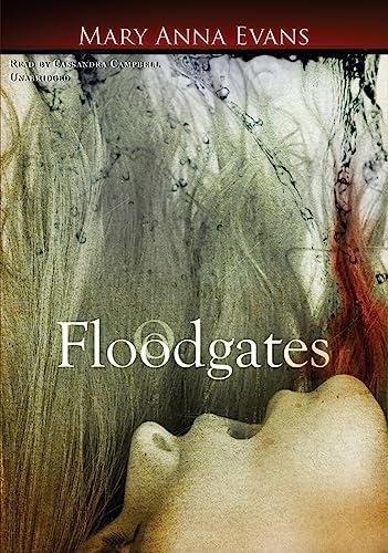 Floodgates Lib/E - Click to Buy