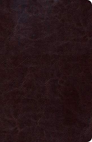RVR 1960 Biblia de Estudio Scofield Tamano Personal, chocolate oscuro símil piel - Click to Buy