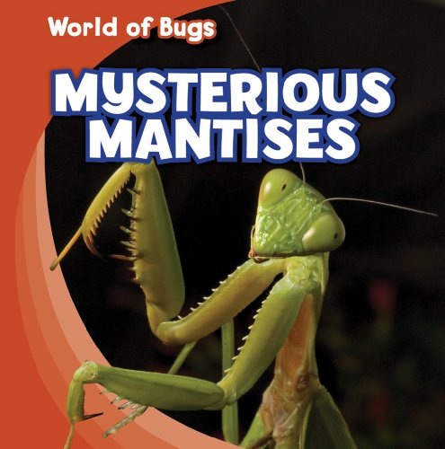 Mysterious Mantises - Click to Buy