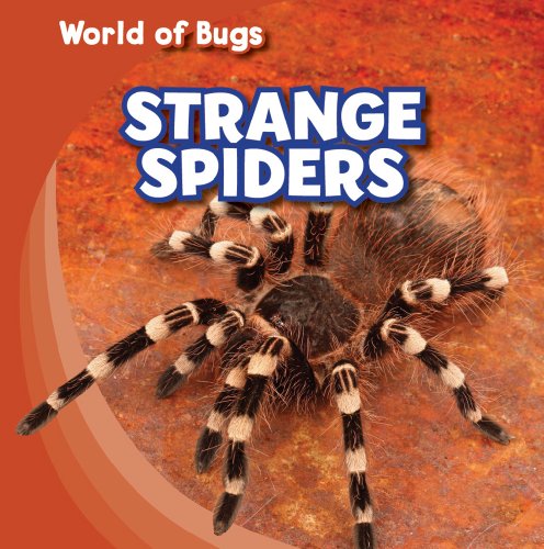 Strange Spiders - Click to Buy