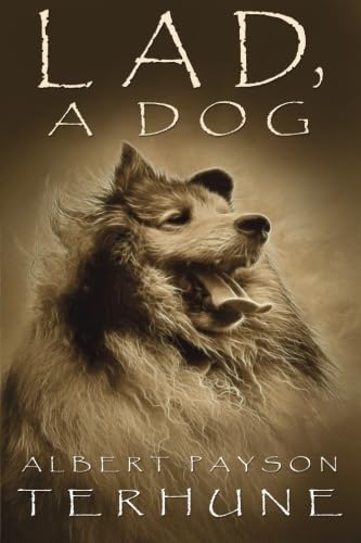 Lad, A Dog - Click to Buy
