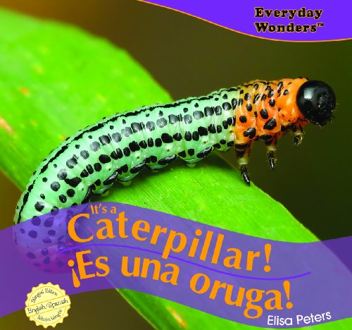 It's a Caterpillar! / Es una oruga! (Everyday Wonders / Maravillas De Todos Los Días) - Click to Buy