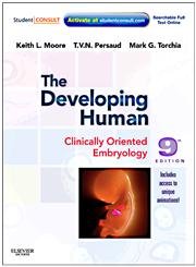 The Developing Human: Clinically Oriented Embryology - Click to Buy
