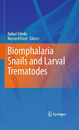 Biomphalaria Snails and Larval Trematodes - Click to Buy