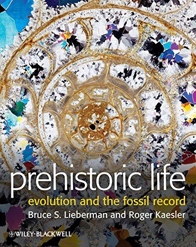 Prehistoric Life: Evolution and the Fossil Record - Click to Buy