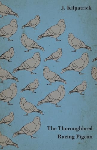 The Thoroughbred Racing Pigeon - Click to Buy