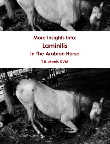 More Insights Into: Laminitis In The Arabian Horse - Click to Buy