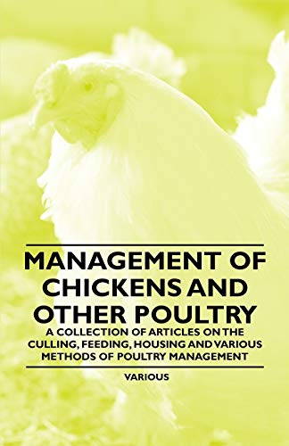 Management of Chickens and Other Poultry - A Collection of Articles on the Culling, Feeding, Housing and Various Methods of Poultry Management - Click to Buy
