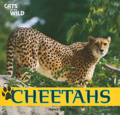 Cheetahs - Click to Buy