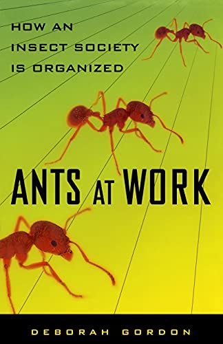 Ants At Work: How An Insect Society Is Organized - Click to Buy