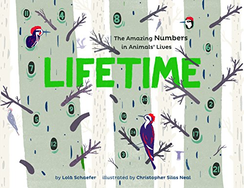 Lifetime: The Amazing Numbers in Animal Lives - Click to Buy