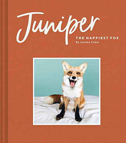 Juniper: The Happiest Fox - Click to Buy