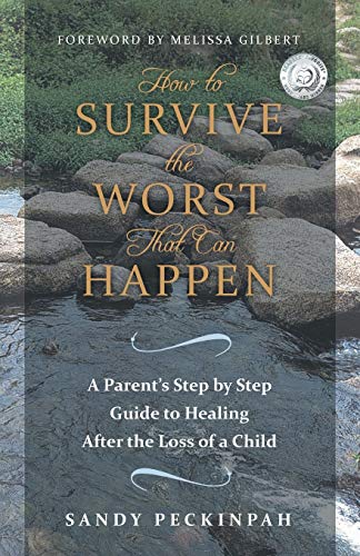How to Survive the Worst That Can Happen: A Parent's Step by Step Guide to Healing After the Loss of a Child - Click to Buy