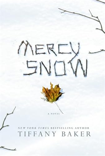 Mercy Snow: A Novel