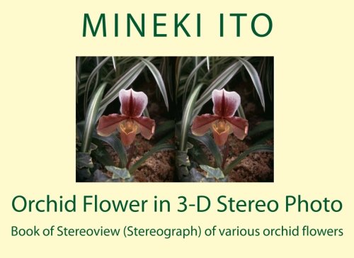Orchid Flower in 3-D Stereo Photo - Click to Buy
