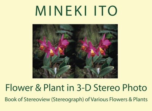 Flower & Plant in 3-D Stereo Photo: Book of Stereoview (Stereograph) of Various Flowers & Plants - Click to Buy