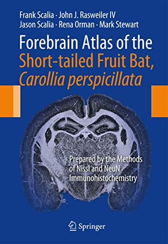 Forebrain Atlas of the Short-tailed Fruit Bat, Carollia perspicillata: Prepared by the Methods of Nissl and NeuN Immunohistochemistry - Click to Buy