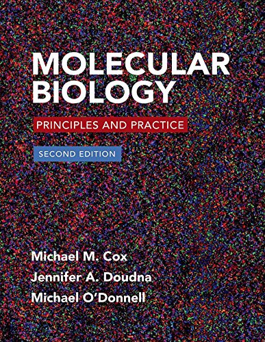 Molecular Biology: Principles and Practice - Click to Buy