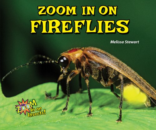 Zoom in on Fireflies - Click to Buy