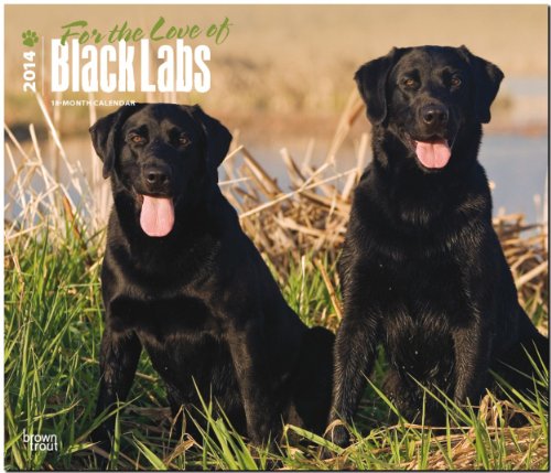 For the Love of Black Labrador Retrievers 2014 18-Month Calendar - Click to Buy