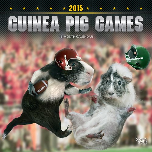 Guinea Pig Games 2015 18-Month Calendar - Click to Buy