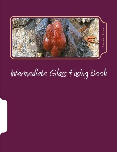 Intermediate Glass Fusing Book - Click to Buy
