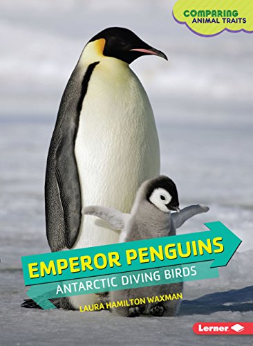 Emperor Penguins: Antarctic Diving Birds (Comparing Animal Traits) - Click to Buy