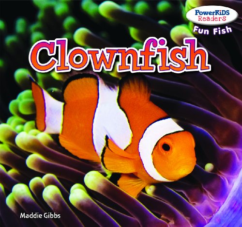 Clownfish - Click to Buy
