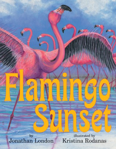 Flamingo Sunset - Click to Buy