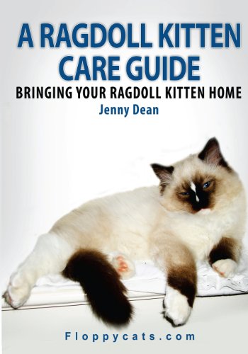 A Ragdoll Kitten Care Guide: Bringing Your Ragdoll Kitten Home - Click to Buy