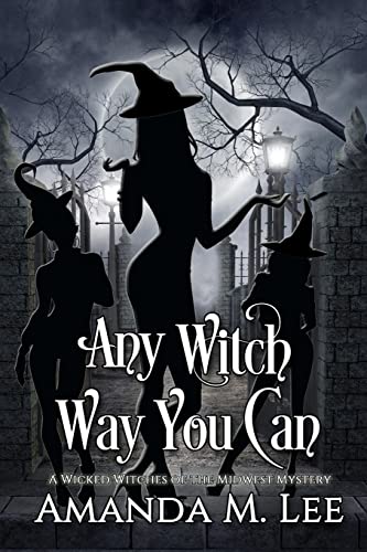 Any Witch Way You Can (Wicked Witches of the Midwest, Band 1) - Click to Buy