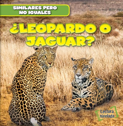 Leopardo o jaguar?/ Leopard or Jaguar? - Click to Buy