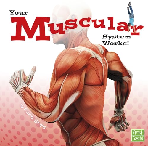 Your Muscular System Works! - Click to Buy