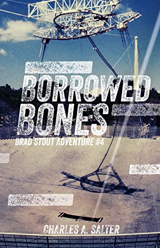 Borrowed Bones: Brad Stout Adventure #4 (Brad Stout Adventures) - Click to Buy