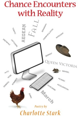 Chance Encounters with Reality - Click to Buy
